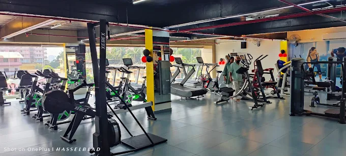Chennai Treadmill Sales & Service Centre Call 044 42148320 /