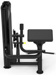 Impulse VX9503 Arm Curl
