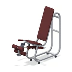 EXER-GYM Bi-lateral Quad / Hamstring